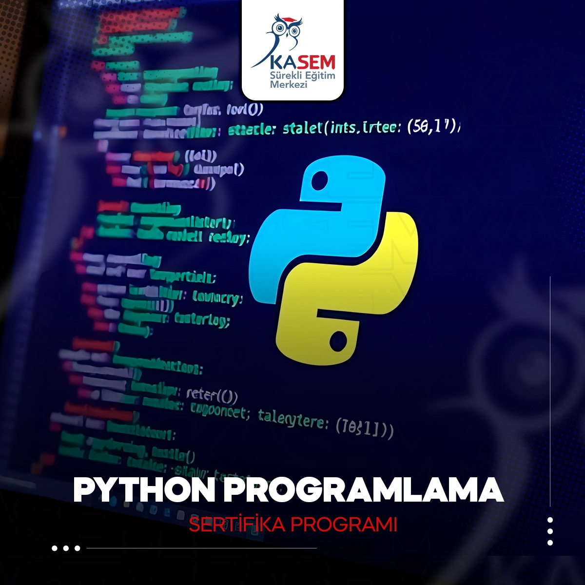Python Programlama Eğitim Programı