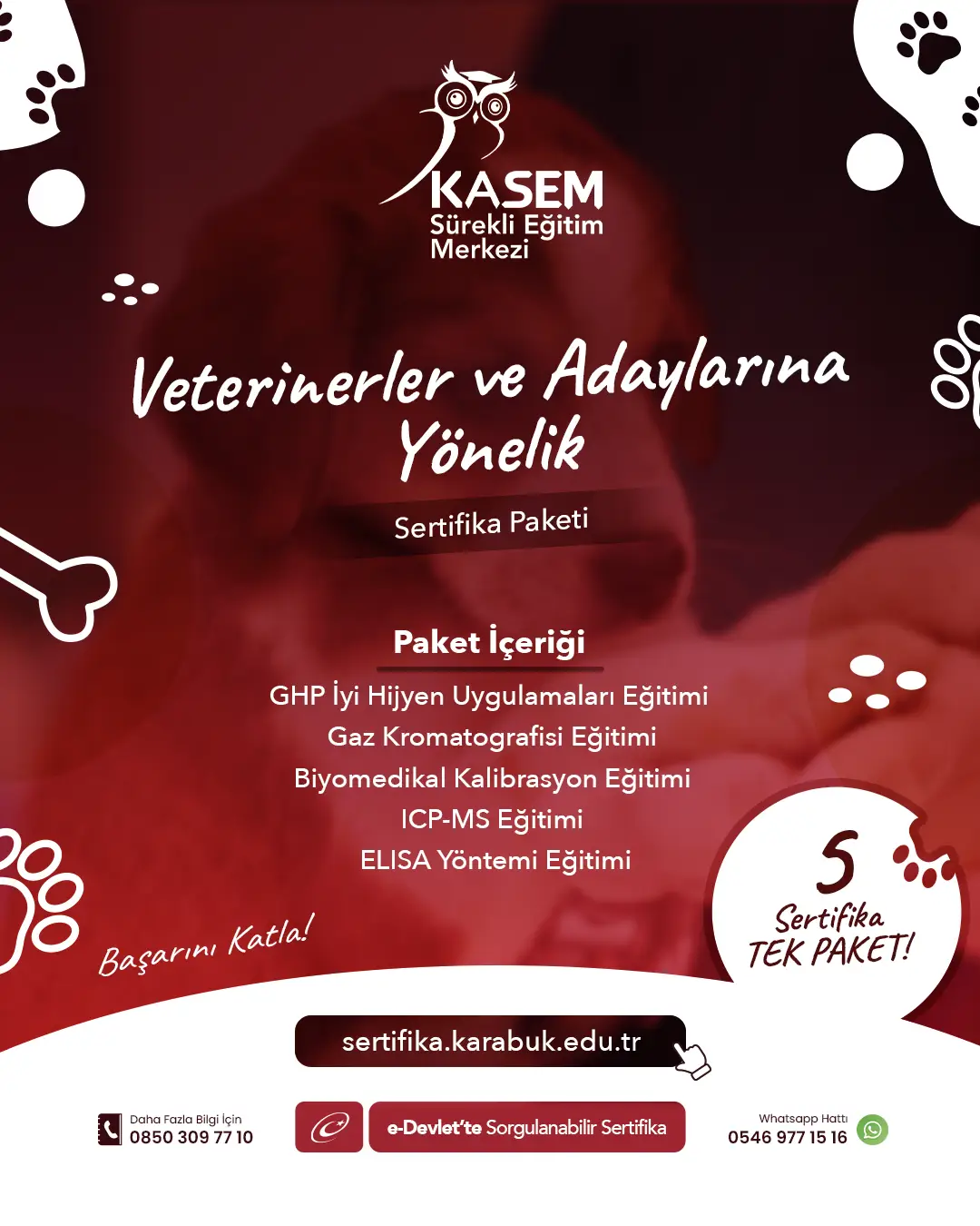Veterinerler Ve Adaylarına Yönelik Sertifika Paket Programı