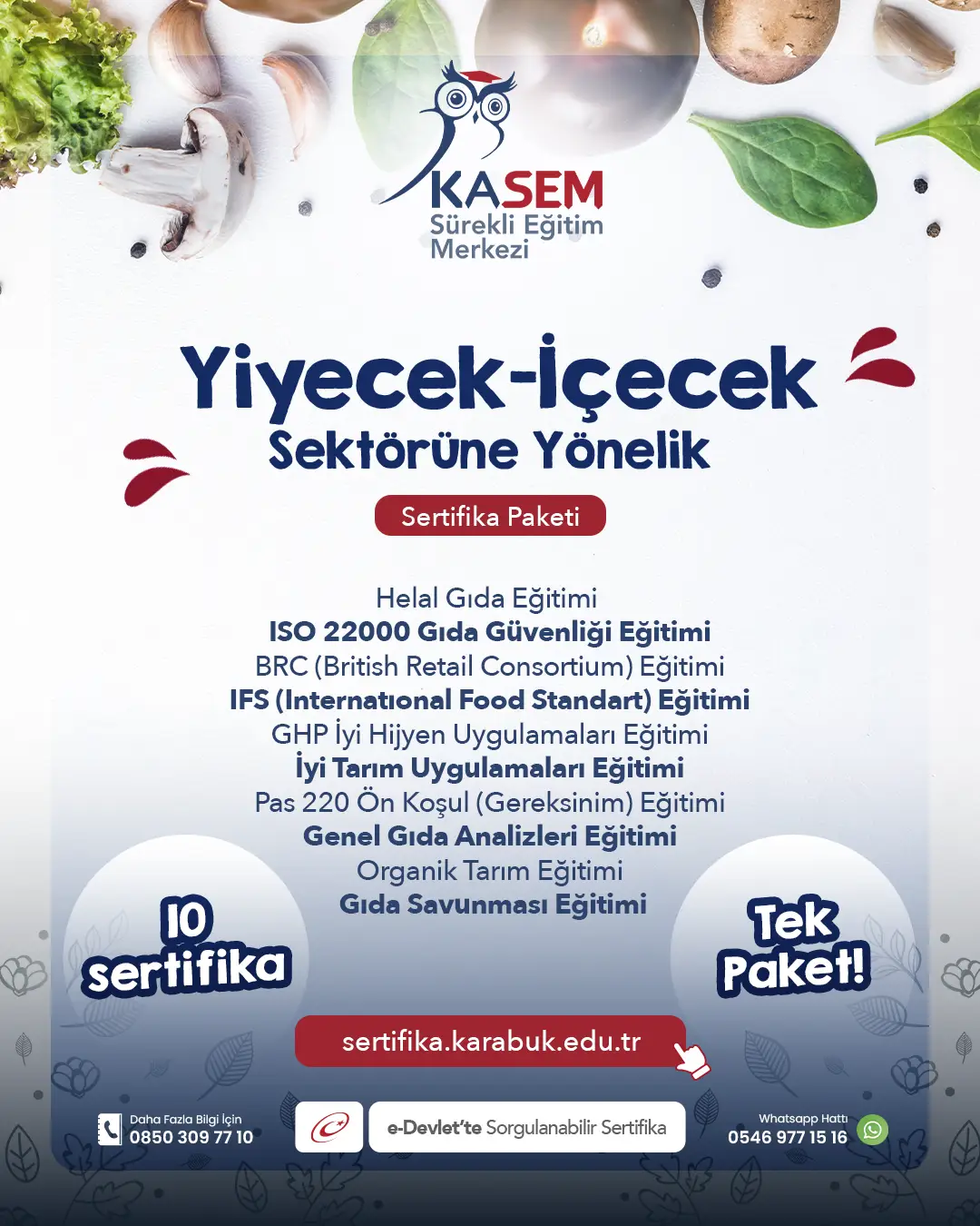 Yiyecek-İçecek Sektörüne Yönelik Sertifika Paket Programı