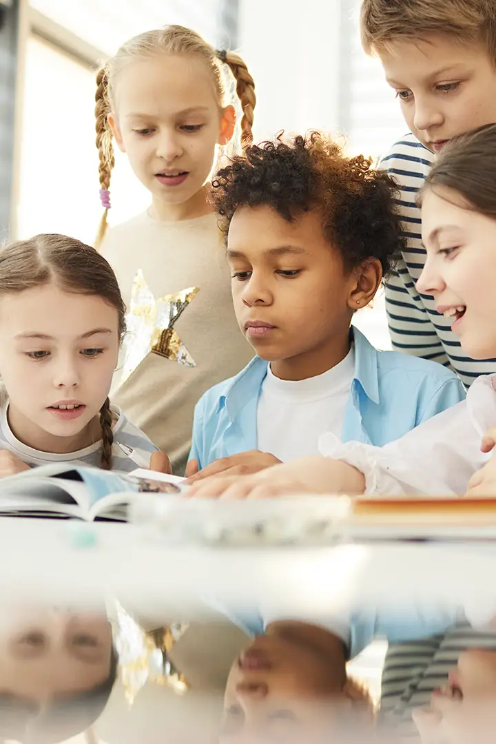 B2 Seviye İngilizce Okuma Etkinlikleri Sertifika Programı